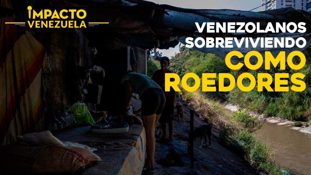 Venezolanos sobreviven como roedores