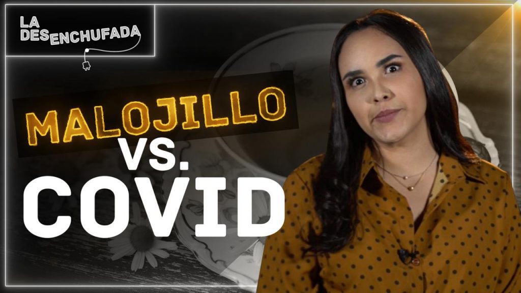 La desenchufada Malojillo vs Covid - Impacto Venezuela