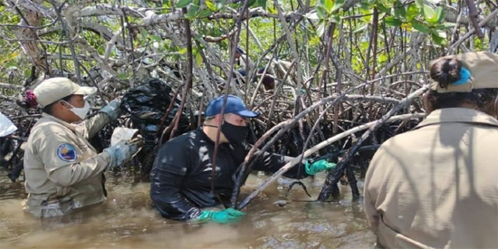 manglares-peligro-an-investigación-derrame-playas-falcon
