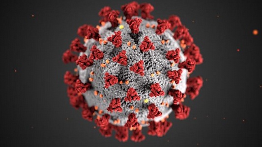 covid-19-coronavirus-illustration--dark-background