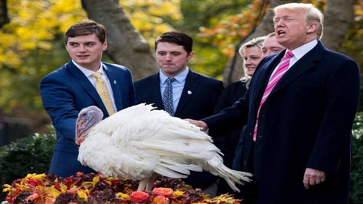 El presidente de Estados Unidos, Donald Trump, oficiará este martes el tradicional indulto anual a un pavo. El animalito se librará de acabar el jueves en la mesa de la cena de Acción de Gracias en la Casa Blanca.