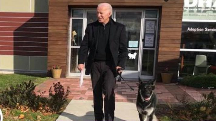 Una vez que se ha declarado la victoria del candidato demócrata Joe Biden, él y su familia serán los nuevos huéspedes de la Casa Blanca desde enero del 2020. Esto incluye a sus dos mascotas: Champ y Major.
