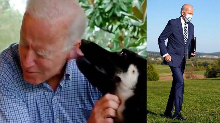 Joe Biden y su mascota Mayor. Cortesía