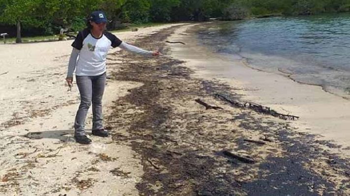 Nuevamente, un derrame petrolero procedente de la refinería El Palito llegó a playas de Tucacas y al parque nacional Morrocoy. Pescadores y la ONG Sociedad Venezolana de Ecología hicieron la denuncia.