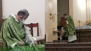 sacerdote-Brasil-lleva-perros-callejeros-misa-adopten