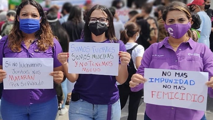 La diputada de la Asamblea Nacional chavista, Vanessa Robertazzo, adelantó algunas de las propuestas para la reforma de la Ley Orgánica Sobre el Derecho de las Mujeres a una Vida Libre de Violencia. 