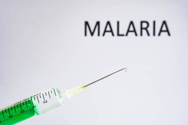 40 casos de paludismo o malaria en La Guaira