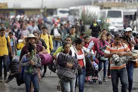 Migrantes venezolanos en Perú y Ecuador