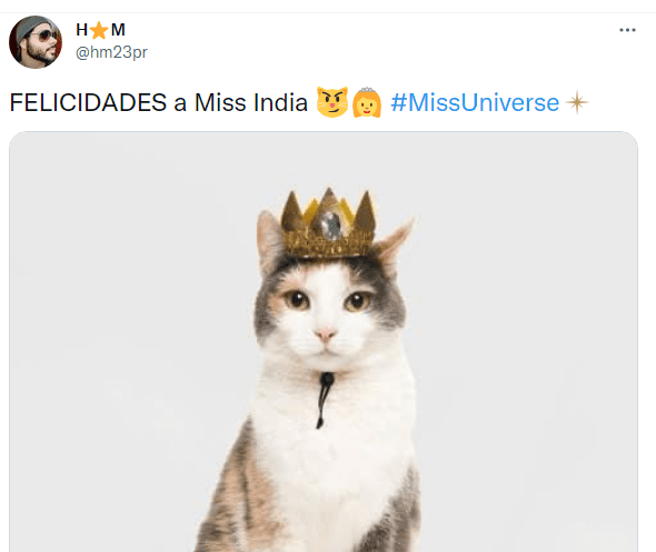 La imitación de gato de Miss Universo 2021 dio para todo. Foto Twitter