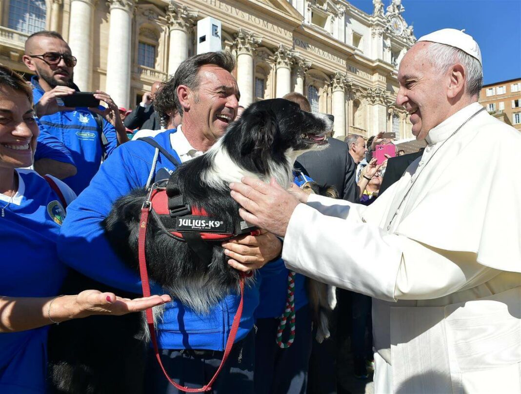 Papa Francisco sobre las Mascotas