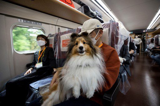 Los pasajeros abordan un tren bala shinkansen con sus perros durante un viaje de una hora desde Tokio hasta la ciudad turística de Karuizawa.