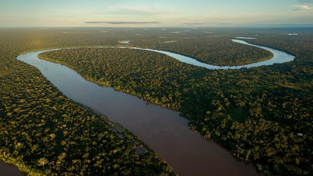 Hallan dos cuerpos en la Amazonía; ¿serán el periodista británico y su amigo indigenista brasileño desaparecidos?