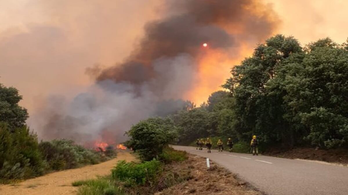 Los incendios en España han causado estragos y evacuación de miles de personas. Foto cortesía