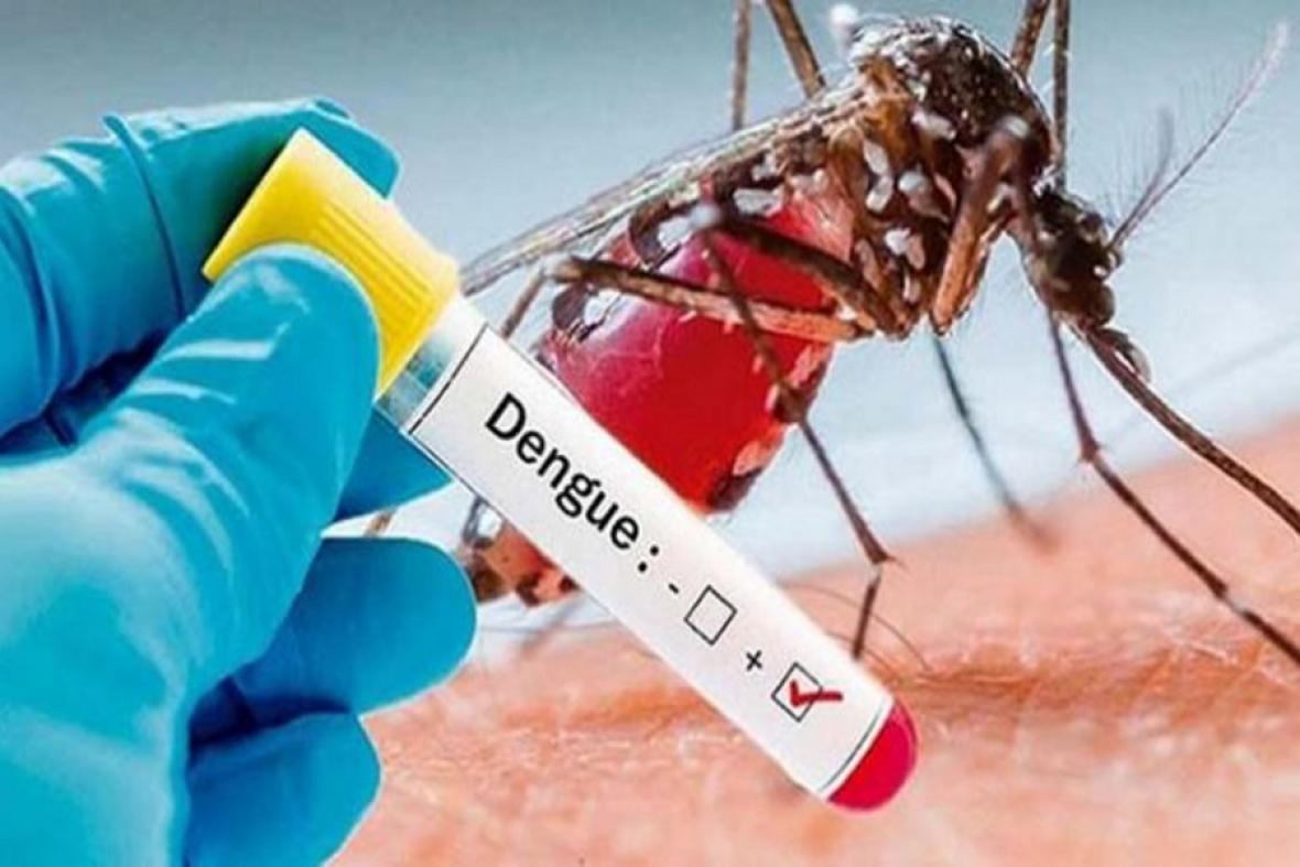 13 muertos y más de 21.000 contagiados por Dengue en Colombia