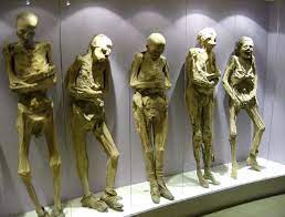 PARANORMAL Impresionante y perturbador lo pasa dentro del museo con cuerpos humanos en Bogotá