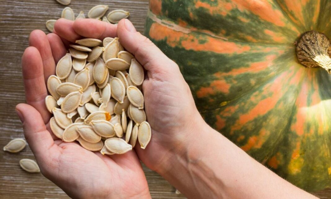 PODEROSO REMEDIO PARA LA HIPERTENSIÓN: las semillas de calabaza