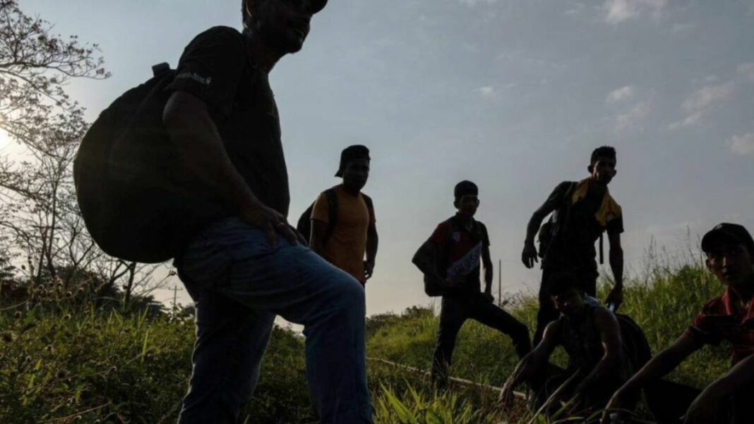 Tráfico de migrantes, excesos policiales y agresiones verbales: lo que sufren los venezolanos en México