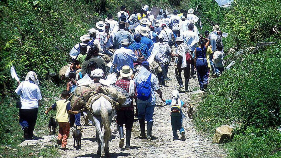 Más de 300 desplazados por combates entre las FARC, ELN, y el Ejército