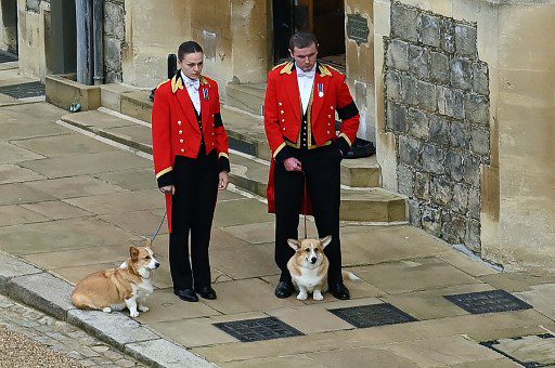 Muick y Sandy estuvieron en el paso del cortejo de la reina Isabel. Foto AFP