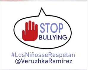 La iniciativa que impulsa Veruzhka Ramírez. Foto Instagram