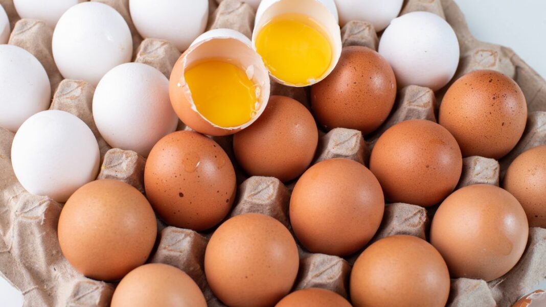 Todo lo que debes saber antes de lavar los huevos.