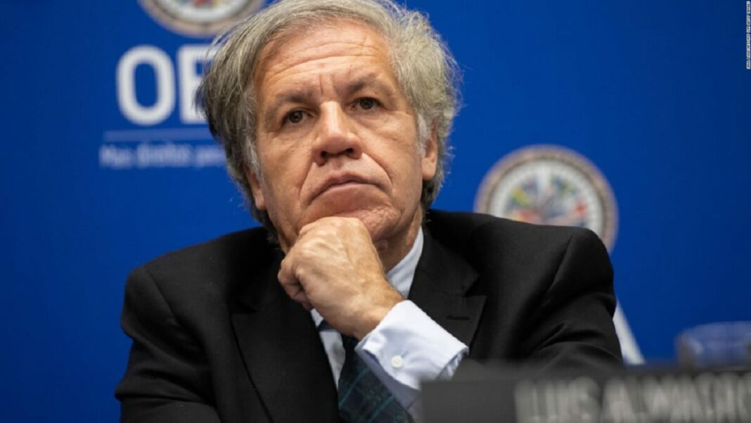 Luis Almagro, secretario general de la OEA. Foto cortesía