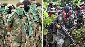 Fuertes combates entre el Clan del Golfo y guerrilleros del ELN en Cáceres-Cauca