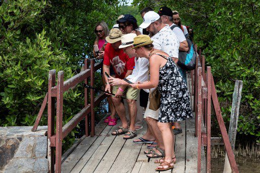 Un grupo de turistas rusos usa sus teléfonos celulares para tomar fotografías de una serpiente en el manglar mientras caminan por el Parque Nacional Laguna de La Restinga en Isla Margarita, estado de Nueva Esparta, Venezuela, el 24 de noviembre de 2022.