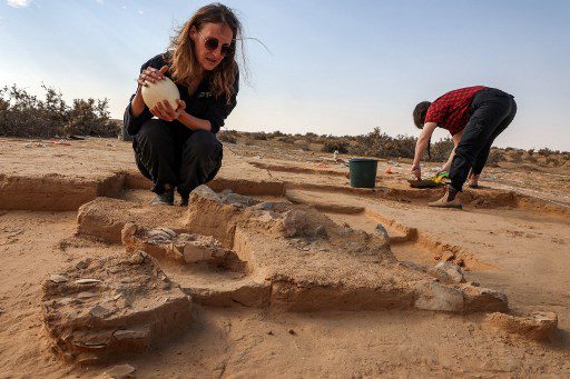 Lauren Davis, gerente de excavación del distrito sur de la Autoridad de Antigüedades de Israel (IAA), muestra un huevo de avestruz fresco utilizado para ilustración junto a fragmentos de huevos más antiguos que datan de más de 4000 años.
