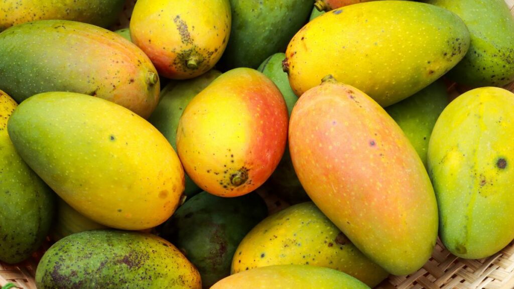 El mango contiene fibra, ideal para retardar la absorción de la glucosa en sangre. 