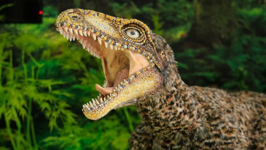 El Tachiraptor tenía 50 dientes muy afilados. Foto cortesía