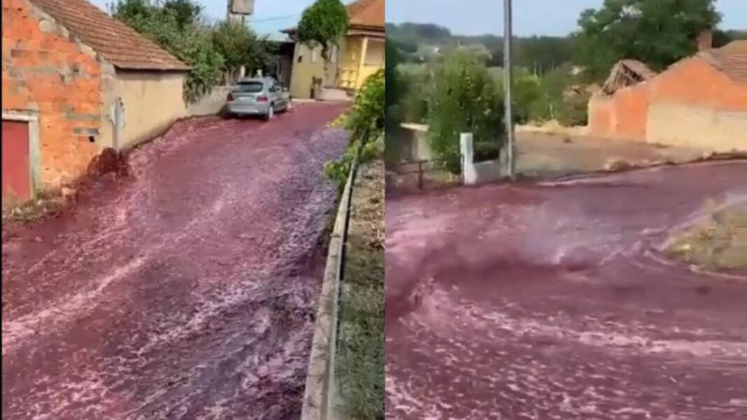 río de vino tinto casi causa daño ambiental en Portugal