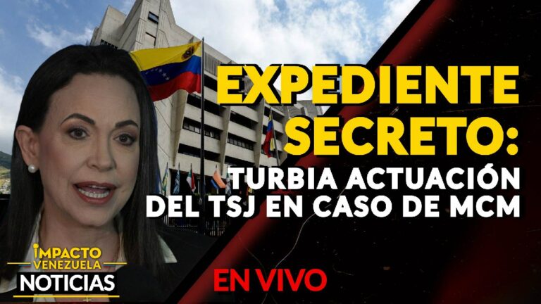 ¡NO ES LA IGUANA, ES EL BAJÓN! Fluctuación eléctrica en Caracas impidió que el TSJ revisara expediente de María Corina – VIDEO
